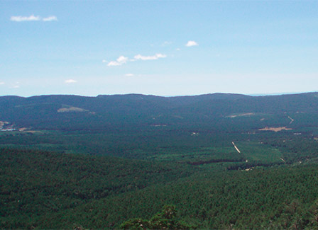 alrededores del campamento